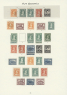 */O Neubraunschweig: 1860-63: Mint And Used Collection Of 36 Stamps, All Denominations, With Some Good C - Lettres & Documents