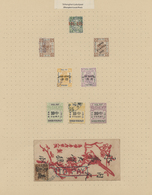 */(*)/O China: 1890/1954 (ca.), Mint And Used Collection On Pages, Starting 1920s But Inc. Local Post With S - Other & Unclassified