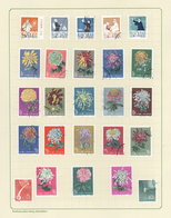 O China - Volksrepublik: 1950/1966, Nice Cto Collection Mounted On Leaves With Better Issues Like Tabl - Autres & Non Classés