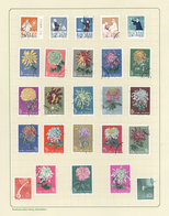 O China - Volksrepublik: 1950/1966, Nice Cto Collection Mounted On Leaves With Better Issues Like Tabl - Sonstige & Ohne Zuordnung