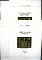 ** Guyana: 1992/1994, Important And Very Specialised Collection In Two Albums With Different GOLD And S - Guyana (1966-...)