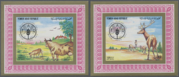 ** Jemen: 1982, World Food Day (rabbits, Fowl, Tirkeys, Sheep, Cows And Red Deer) Set Of Six Different - Yemen