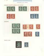 */** Libanon: 1924/1925, Bilingual Overprints On Pasteur Issue, Specialised Mint Collection Of Apprx. 109 - Liban