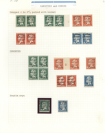 */** Libanon: 1924/1925, Bilingual Overprints On Pasteur Issue, Specialised Mint Collection Of Apprx. 109 - Libano