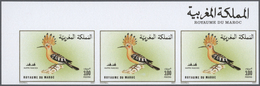 ** Marokko: 1973/1991, U/m Accumulation Of Apprx. 1.900 IMPERFORATE Stamps, Mainly Within Units Incl. M - Marokko (1956-...)