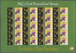 ** Papua Neuguinea: 2007, So Called PERSONALIZED STAMPS Over 5,000 Sheets Mint Never Hinged, Attractive - Papouasie-Nouvelle-Guinée