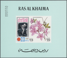 ** Ras Al Khaima: 1972, U/m Collection In A Thick Stockbook With Attractive Thematic Issues Like Birds, - Ras Al-Khaimah