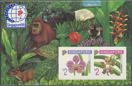 ** Singapur: 1995, Stamp Exhibition SINGAPORE '95 ("Orchids"), IMPERFORATE Souvenir Sheet, Lot Of 100 P - Singapore (...-1959)