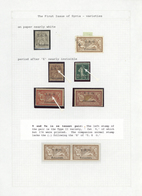 */Brfst/O Syrien: 1919, T.E.O. Overprints 1st Issue, Mint And Used Assortment On Written Up Pages, Showing Mau - Syrie