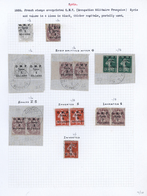 O/*/Brfst/** Syrien: 1920/1924, Specialised Collection Of Apprx. 220 Overprint Stamps Arranged On Written Up Albu - Syrie