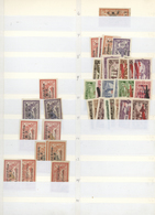 */**/O/(*) Syrien: 1922/1957, Airmails, Comprehensive Mint And Used Stock In A Binder, Well Sorted From Early I - Syrie