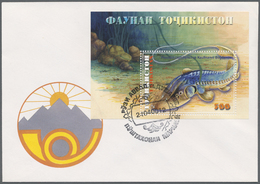 Tadschikistan: 1998/2003, Bestand Von 95 Ersttagsbriefen Teils In Größeren Einzelmengen Dabei Viele - Tadzjikistan
