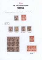 */**/O Thailand: 1907/1908, Provisional Surcharges, Specialised Collection Of Apprx. 70 Stamps On Written U - Thaïlande