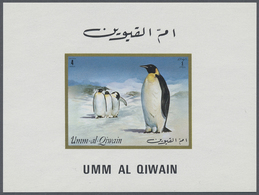 ** Umm Al Qaiwain: 1970/1972 (ca.), Collection In Stockbook With All Different Perf. And Imperf. Stamps - Umm Al-Qaiwain