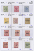 */O Britische Kolonien: 1865-1900, MALAY STATES / SELANGOR / SARAWAK / PERAK In Two Selection Booklets W - Other & Unclassified