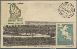 Br Flugpost Übersee: 1924/1937, French Colonies, Group Of Seven Airmail Covers/cards, E.g. 1925 Senegal - Sonstige & Ohne Zuordnung