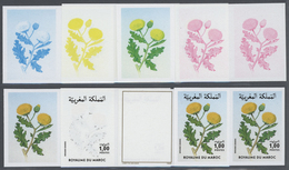 ** Thematik: Flora, Botanik / Flora, Botany, Bloom: 1986, Morocco. Progressive Proofs (8 Phases) For Th - Andere & Zonder Classificatie