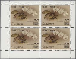 ** Thematik: Flora-Orchideen / Flora-orchids: 1980s, Guyana. Accumulation Of 117 Items Showing A Great - Orchideeën