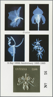 ** Thematik: Flora-Orchideen / Flora-orchids: 1990/2000 (ca.), Assortment Of 100 Positions Incl. Specia - Orchideen