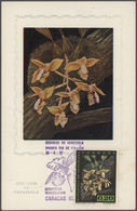 **/O/Br/MK Thematik: Flora-Orchideen / Flora-orchids: Enormously Extensive Collection Of This Topic In 33 Album - Orchideen