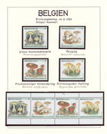**/Br/GA Thematik: Pilze / Mushrooms: 1959/1999, Alle Welt. Sehr Umfangreiche Sammlung In 20 Ringbindern Mit - Funghi