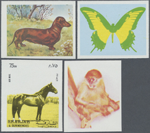 ** Thematik: Tiere, Fauna / Animals, Fauna: 1972, Sharjah, Collection Of 157 Different Imperforate Prog - Autres & Non Classés