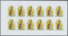 ** Thematik: Tiere, Fauna / Animals, Fauna: 1984, Niue. Progressive Proofs Set Of Sheets For The Comple - Other & Unclassified