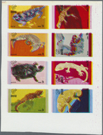 **/ Thematik: Tiere-Amphibien / Animals-amphibian: 1960/2000 (approx), Various Countries. Accumulation O - Altri & Non Classificati