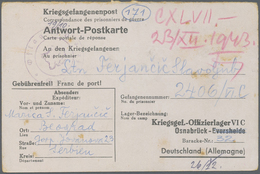 Br/GA/Brfst/** Thematik: Tiere-Hunde / Animals-dogs: 1843/2001(approx.). Collection Of About 90 Letters And Postal - Dogs