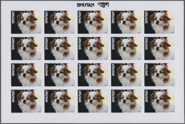 ** Thematik: Tiere-Hunde / Animals-dogs: 1972, Bhutan. Progressive Proofs Set Of Sheets For The Complet - Cani