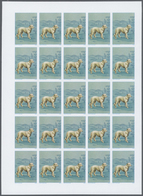 ** Thematik: Tiere-Hunde / Animals-dogs: 1984, Morocco. Progressive Proofs Set Of Sheets For The Issue - Honden