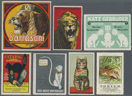 Thematik: Tiere-Katzen / Animals-cats: 1900/1970 Ca., CATS, LIONS, TIGERS And More, Comprehensive Co - Hauskatzen