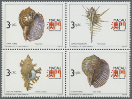 **/Br Thematik: Tiere-Meerestiere-Muscheln / Animals-sea Animals-shells: 1960/2000 (approx), Various Count - Conchiglie