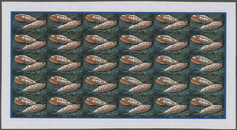 ** Thematik: Tiere-Meerestiere-Muscheln / Animals-sea Animals-shells: 1974, Cook Islands. Progressive P - Schelpen