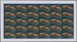 ** Thematik: Tiere-Meerestiere-Muscheln / Animals-sea Animals-shells: 1974, Cook Islands. Progressive P - Muscheln