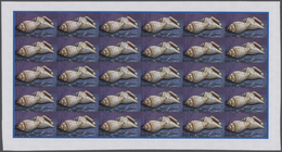 ** Thematik: Tiere-Meerestiere-Muscheln / Animals-sea Animals-shells: 1974, Cook Islands. Progressive P - Schelpen
