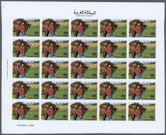 ** Thematik: Tiere-Pferde / Animals-horses: 1988, Morocco. Progressive Proofs Set Of Sheets For The Iss - Cavalli