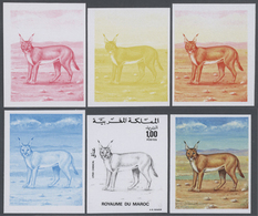 ** Thematik: Tiere-Raubtiere / Animals-predacious Cats: 1975, Morocco. Lot Containing Progressive Proof - Altri & Non Classificati