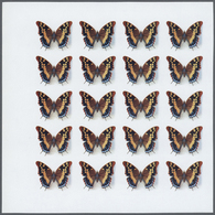 ** Thematik: Tiere-Schmetterlinge / Animals-butterflies: 1979, Rwanda. Progressive Proofs Set For The B - Butterflies