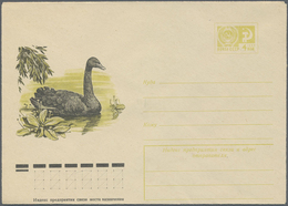 GA Thematik: Tiere-Vögel / Animals-birds: 1953/1990, USSR. Lot Of About 600 Only Different Entire Envel - Other & Unclassified