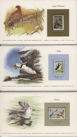 ** Thematik: Tiere-Vögel / Animals-birds: 1960's-80's Ca.: "Birds Of The World" Stamp Collection With M - Other & Unclassified