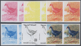 ** Thematik: Tiere-Vögel / Animals-birds: 1976, Morocco. Lot Containing Progressive Proofs (6 Phases) F - Andere & Zonder Classificatie