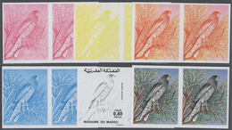 ** Thematik: Tiere-Vögel / Animals-birds: 1976, Morocco. Lot Containing Progressive Proofs (6 Phases) F - Andere & Zonder Classificatie