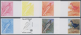 ** Thematik: Tiere-Vögel / Animals-birds: 1976, Morocco. Lot Containing Progressive Proofs (6 Phases) F - Other & Unclassified