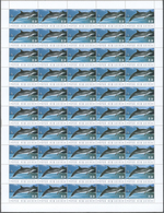 ** Thematik: Tiere-Meeressäuger (u.a. Wale) / Animals-aquatic Mammals: 2003, ENDANGERED DOLPHINS. Lot O - Other & Unclassified