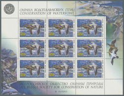 ** Thematik: Tiere-Wasservögel / Animals-water Birds: 1993, 300 R. Waterfowl Duck Stamp MNH, 48 Miniatu - Autres & Non Classés