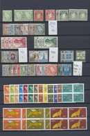 **/* Irland: 1922/1971, Mint Collection/assortment On Stocksheets, Incl. Better Definitives, Coil Stamps, - Covers & Documents