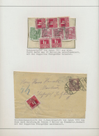 GA/Br/ Österreich - Portomarken: 1900/1918, Ausstellungsmäßig Aufgemachte Und Betextete Sammlung Von Weit ü - Postage Due