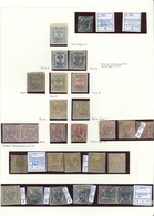 O/*/(*) Rumänien: 1858/1928, Deeply Specialised Mint And Used Collection In A Binder, Neatly Arranged On Nea - Briefe U. Dokumente