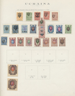 */O/(*) Russland: 1880/1923 (ca.), Russian Area, Mint And Used Collection On Album Pages, Comprising Ukraine - Ungebraucht